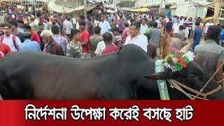 নির্দেশনা মানতে নারাজ স্থানীয় সরকার মন্ত্রণালয়, পশুর হাট বসেই | Cow Hat