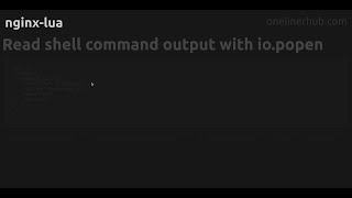 Read shell command output with io.popen