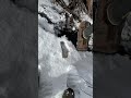 Panning For Gold in Colorado 👌🥶 #gold #goldpanning #colorado