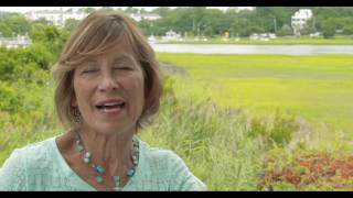 My Community: My Voice — Protecting New Hanover County's Resources