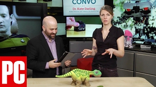 Robot Ethicist, Dr. Kate Darling Asks if Robots Deserve Rights