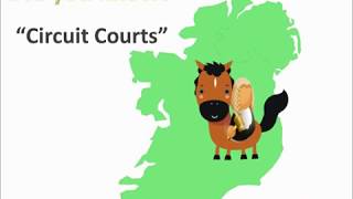 A FLAC Introduction to court systems in Ireland