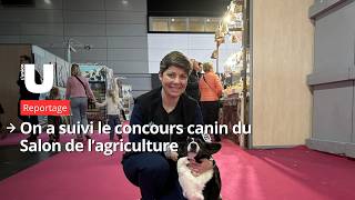 We followed the dog show at the Agricultural Show.