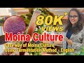 how to culture Moina live fish feed, Easy way of Moina Culture Using Fermentation Method - English