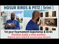 Hosur Birds & Petz ( Srini ) 1st year Tournament experience and Birds