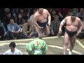 20160508大相撲夏場所初日　日馬富士　ｖｓ　勢