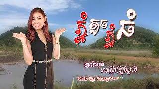 ភ្នំតូចភ្នំធំ 🎤Karaoke 🎤មានស្រីច្រៀងម្ខាង [Phnom toch Phnom Tom]