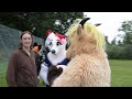 the un official furtastic 2024 aftermovie furtastic gears u0026 growls