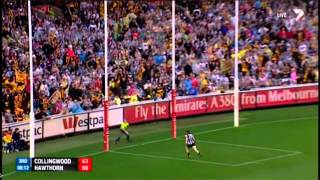Lance Buddy Franklin 2013 | End to end goal in 12 seconds