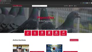 Tutorial for import tool Pigeondex.com
