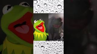 Kermit The Frog’s Scary Shower TIKTOK