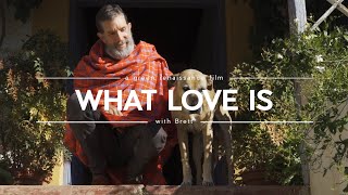 What is True Love? Beyond Conditions & Expectations