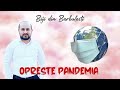 Biji din Barbulesti - OPRESTE PANDEMIA  ( Video Official 2020 ) Cover