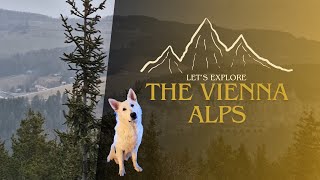 Austria Adventure: Hiking Vienna Alps with Our Swiss Shepherd, Enjoying Nature \u0026 Stunning Views!