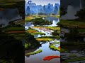 中国风光，这是中国的山山水水，漂亮吗？do you want to live in the scenery of this painting