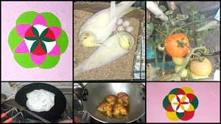 আজ মেয়ে দেয়াল এতে কি সব ছবি আঁকালো।🤍🌼 #viralvideo#bengalvlogger#dailyvlog#adayinmylife#cooking