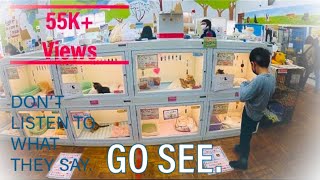 Best pet store 2022 4K | Joyful Honda | Pet shop Japan