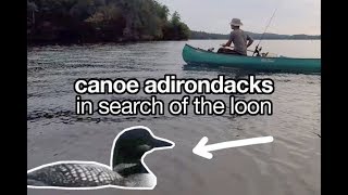 Camp \u0026 Canoe Adirondacks In Search of Loon Bird + My First Chub (Old Forge)