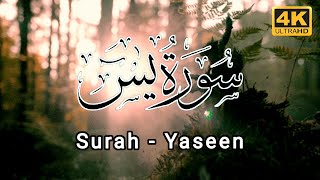 Surah Yasin | Surat ul Yaseen | Beautiful Quran Recitation | Hafiz Arshad Ahmad Official