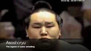 asoshoryu the legend of the sumo wrestling