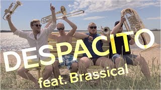 Brassical - Despacito (Luis Fonsi Cover)