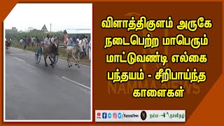 விளாத்திகுளம் அருகே நடைபெற்ற மாபெரும் மாட்டுவண்டி எல்கை பந்தயம் - சீறிபாய்ந்த காளைகள்