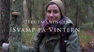 Uteutmaningen Svamp på vintern