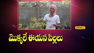 Bhadradri : మొక్కలే ఈయన పిల్లలు..‌ పర్యావరణ పరిరక్షణే ఇతని ధ్యేయం.| #local18