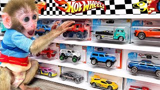 Monyet BonBon Lucu Berbelanja Hot Wheels Monster Truck dan Memetik Buah di Kebun - BonBon Indonesia