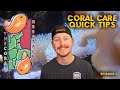 Coral Care Quick Tips with Blaine of King Tide Corals