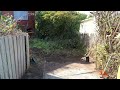 Driveway Catastrophe Restoration  Neglected for over 6 Years!