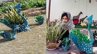 DIY Peacock Made From Cement || Peacock planter.