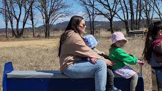 Trains today at the CMR -  a steamer AND the blue Jumbuck with four cars \u0026 a guard's van!