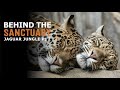 Behind The Sanctuary | Jaguar Jungle Pt.2