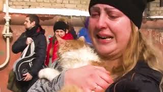 Heartwarming Moment: Amazing Animal Rescue Stories | Animals That Asked People For Help & Kindness