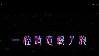 一腔詩意餵了狗 特效karaoke 字幕