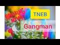 TNEB | Tamil Nadu Electricity Board | Gangman