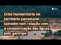 Garimpos estão a menos de 1 km de 8% das águas yanomamis