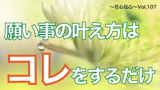 花心伝心Voi.107　願い事の叶え方はこれをするだけ～斎藤ひとりさんのお話～