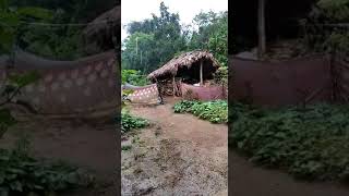 ಮಳೆಯ ದಿನ...A Rainy day