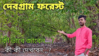 Debagram Forest ।‌ Gangnapur Ranaghat । খরচ মাত্র 50 টাকা । Ranaghat । @vlogwithbiswanath