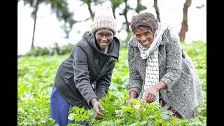 The Lewa Women Micro-Enterprise Programme: Neema Women Group