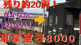 【需要激減】なかなかつかない！EF510レッドサンダー牽引ヨ8000車掌室つき配6550レ！！