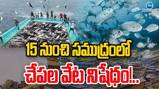 Fishing in Sea Banned from 15th! | 15 నుంచి సముద్రంలో చేపల వేట నిషేధం!.. | ZEE Telugu News