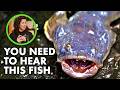 This fish SINGS and it's incredible