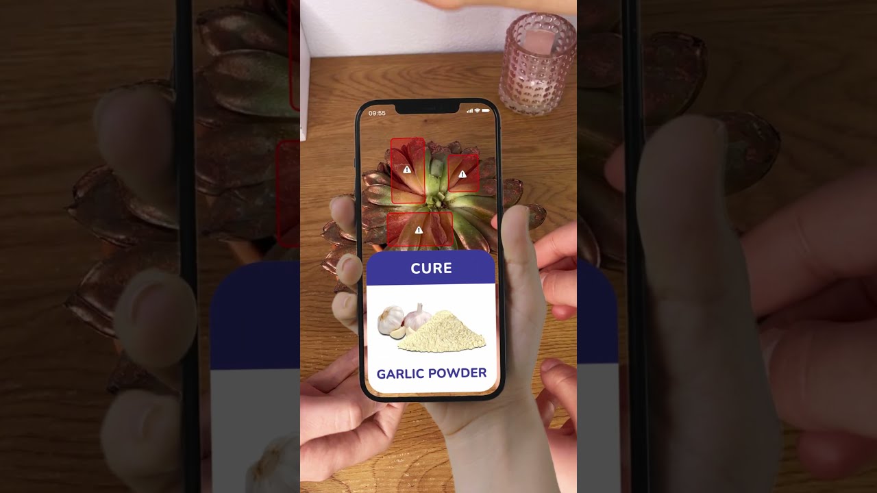 Carl: App to keep your plants alive #plantidentification