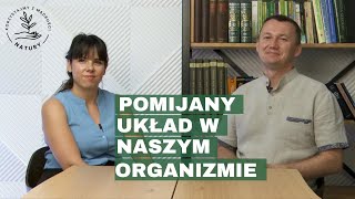 Układ limfatyczny: Pomijany układ w naszym organizmie | Michał Toczyłowski