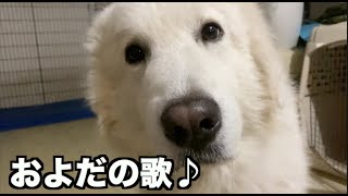 およだのソング