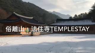 俗離山法住寺寺廟寄宿體驗temple stay