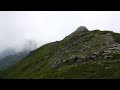 4k 蝶ヶ岳の雷鳥の親子１９